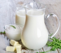 Секрет коровьего молока