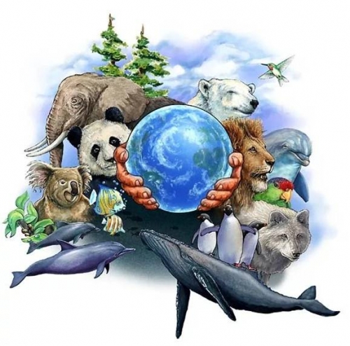 Всемирный день дикой природы