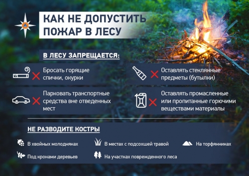 Как не допустить пожар в лесу